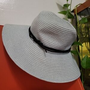 Aritzia Baby Blue Straw Wide Brim Sun Hat